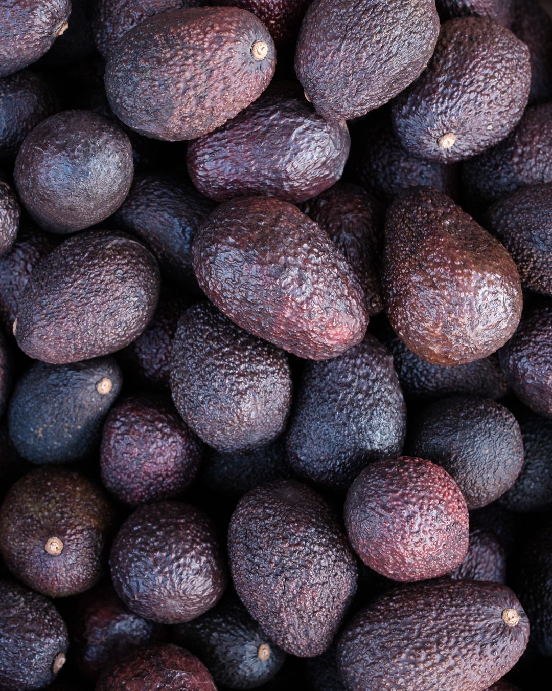 Palta Hass Firmes - 10 Kilos