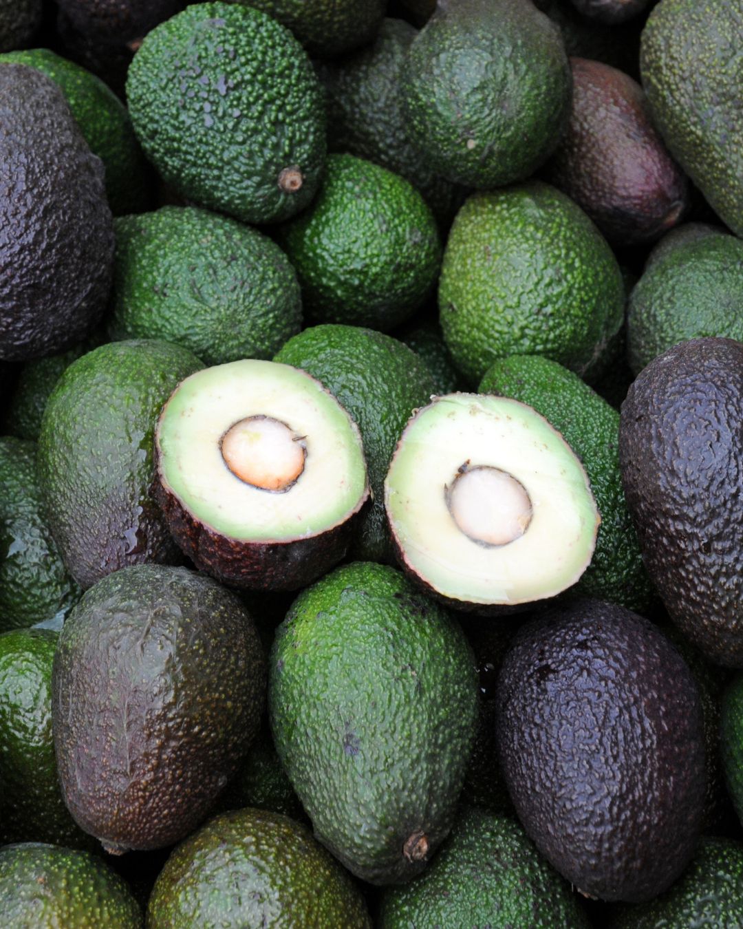 Palta Hass Oferta Mixtas (Maduras y Premaduras) - 10 kg