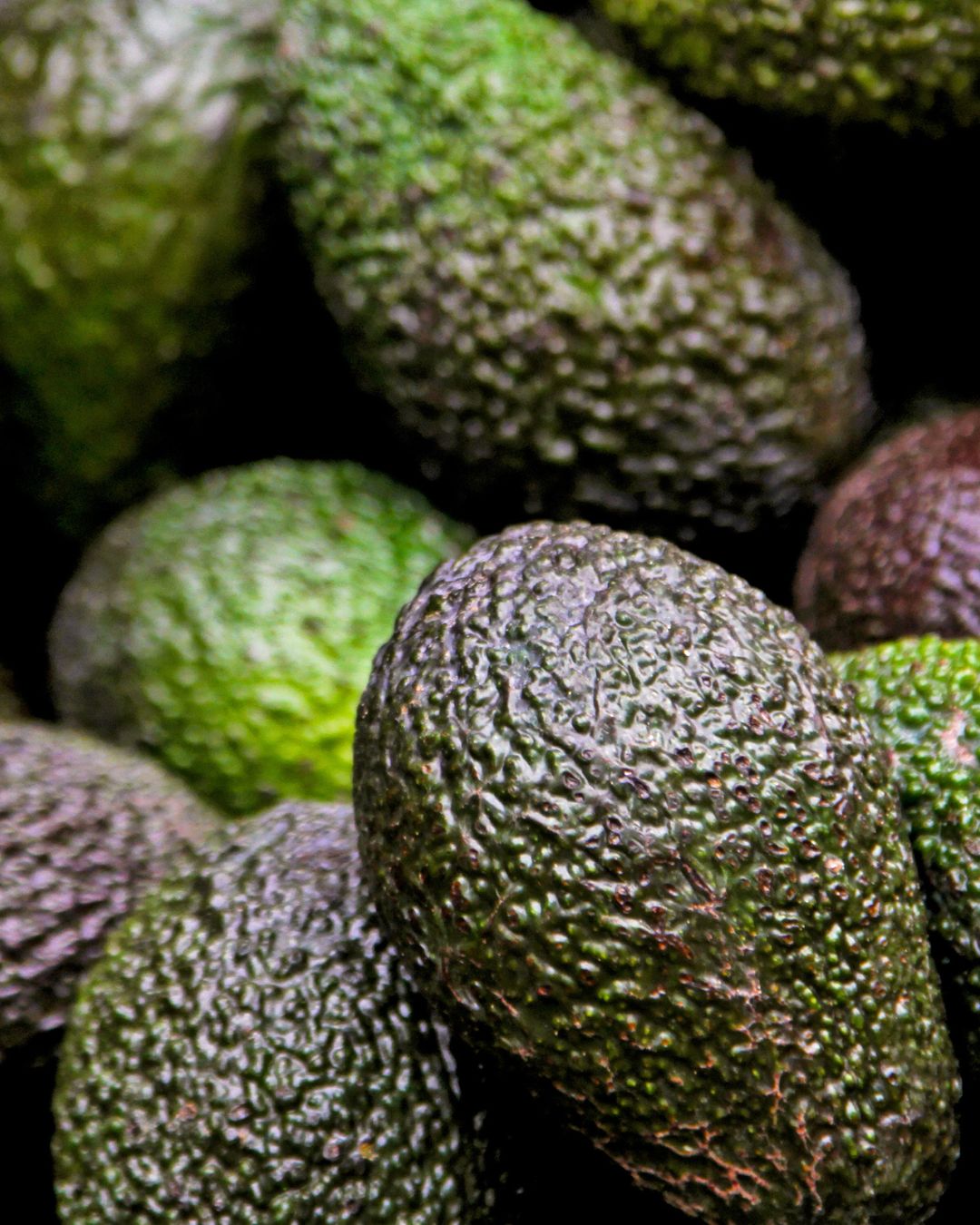Palta Hass Primera Mixtas (Pre-madura) - 10 kg OFERTA CYBER