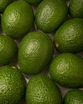 Palta Hass en Verde y Pre-maduras, Chicas - 10 kg