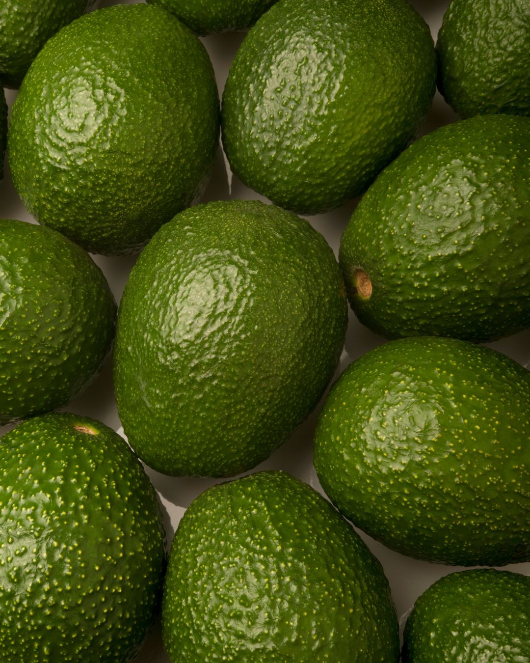 Palta Hass en Verde y Pre-maduras, Chicas - 10 kg