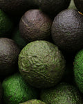 Palta Hass Ovallina Primera