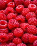Frambuesa Fresca de Mata