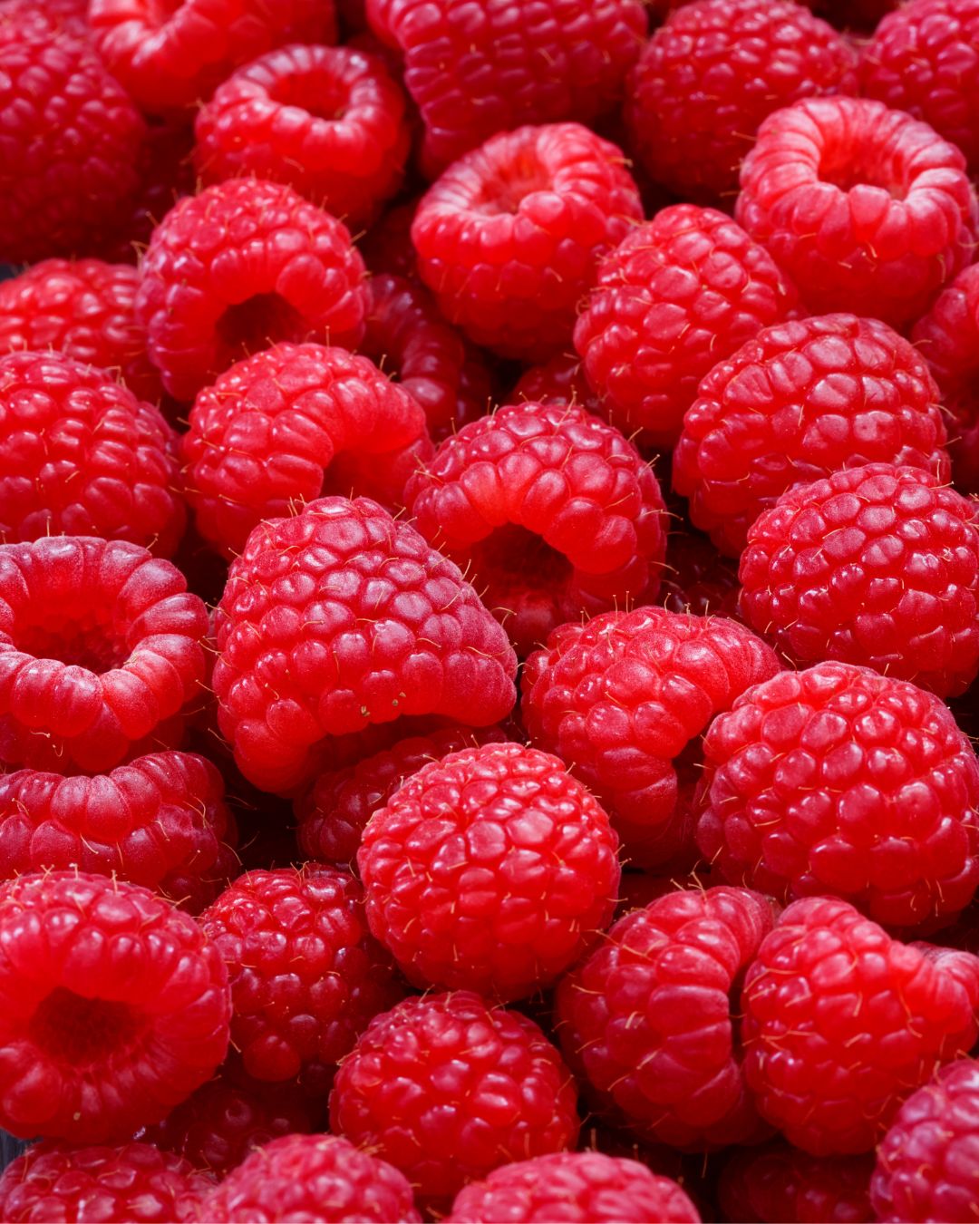 Frambuesa Fresca de Mata