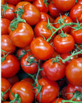 Tomates Limachino, Gamela - 18 Kilos