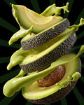 Palta Hass Mixtas Pre Maduras 10 kilos